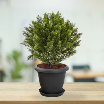 Star design decorative plant pot